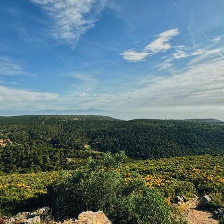 Can Romy Appartement T3 B - A 20M De La Plage De Cala Montgo Ля Эскала Экстерьер фото